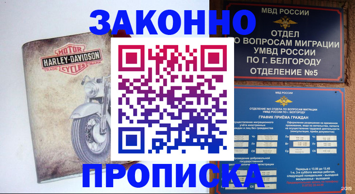 прописка для школы в Кимовске